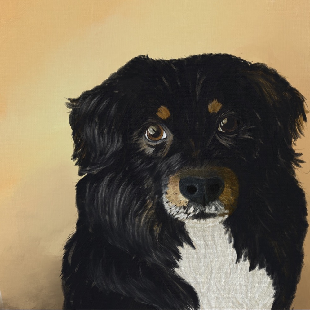 Digital Portraiture